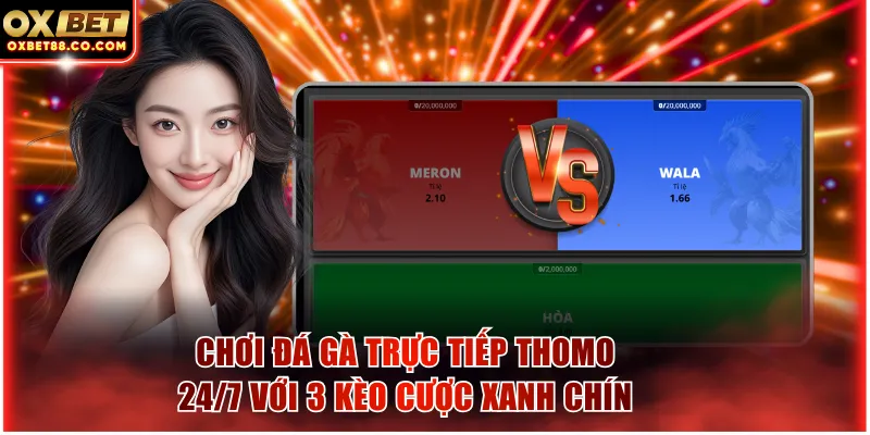 Chơi đá gà trực tiếp thomo 24/7 với 3 kèo cược xanh chín