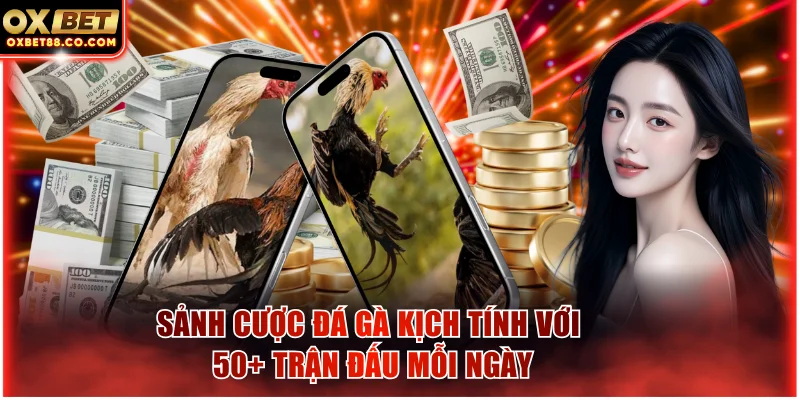 Sảnh cược đá gà kịch tính với 50+ trận đấu mỗi ngày